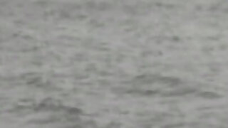 Trailer388