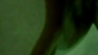 Trailer 336